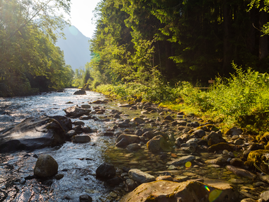 © Stefan Kothner / Montafon
