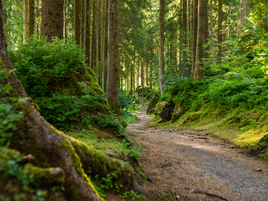 © Stefan Kothner / Montafon
