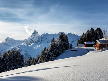 © Montafon