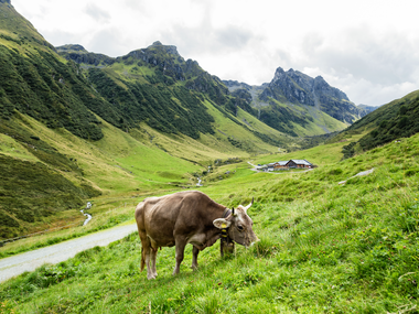 © Elisa Schöllhorn