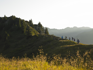 © Elisa Schöllhorn