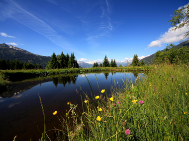 © Christina Wachter