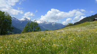 © Christina Wachter