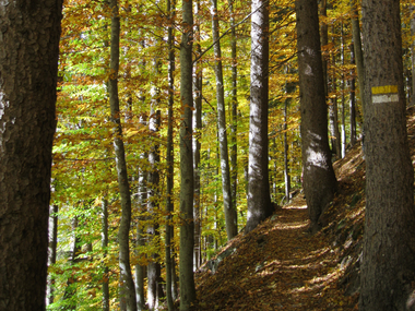 © Christina Wachter