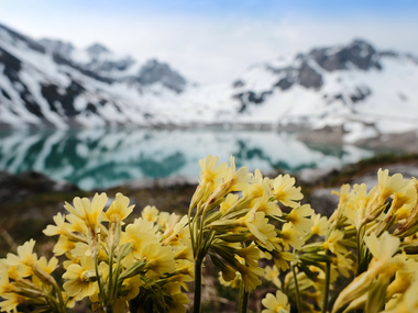 © (c) Andreas Haller / Montafon