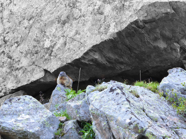 © Christina Wachter / Montafon