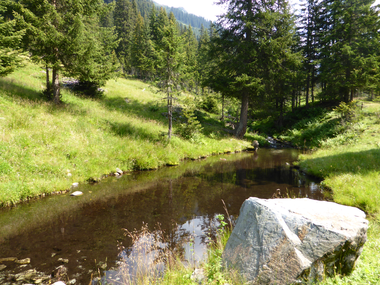 © Christina Wachter / Montafon