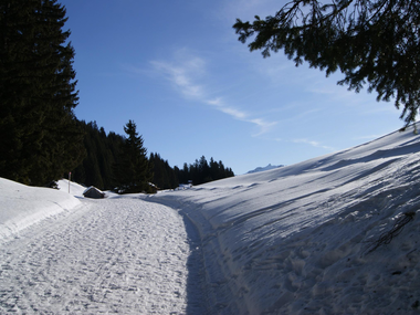 © Christina Wachter / Montafon