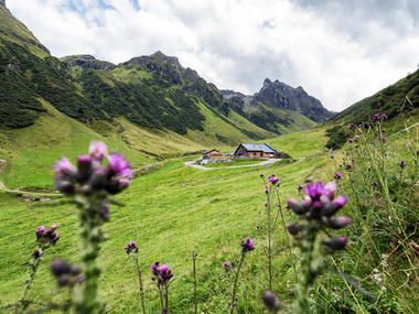 © Stefan Kothner / Montafon