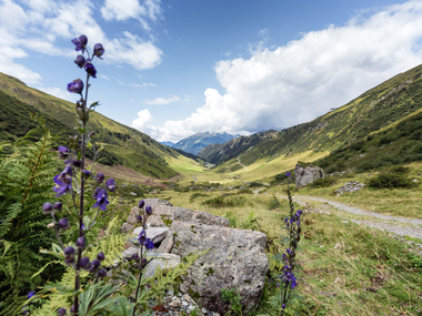 © Stefan Kothner / Montafon