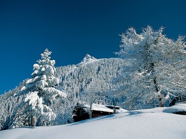 © Markus Fessler-Jenny / Montafon