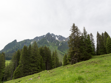 © Niclas Bösch / Montafon