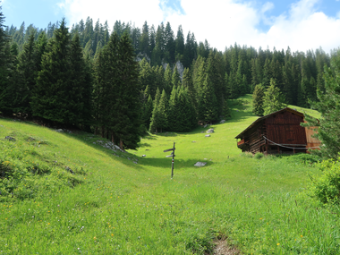 © Niclas Bösch / Montafon