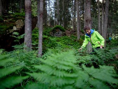 © Montafon Tourismus, Stefan Kothner / Montafon