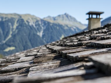 © Elisa Schöllhorn