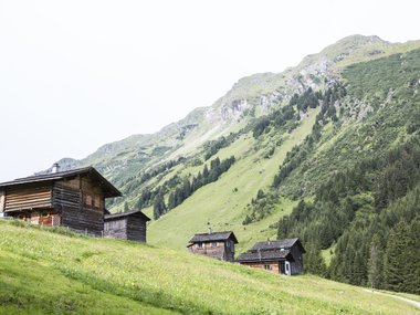 © Elisa Schöllhorn