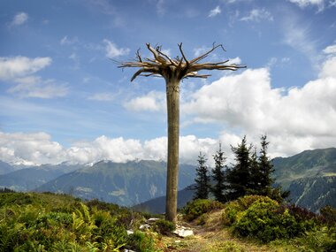 © Roland Fritsch / AlpkulTour / Roland Haas