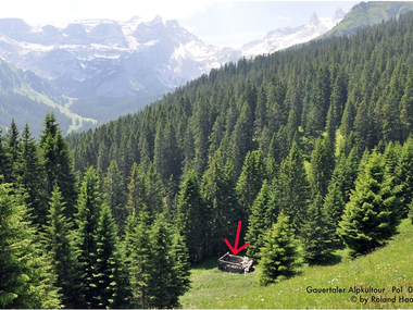 © Christina Wachter / www.kfm.at