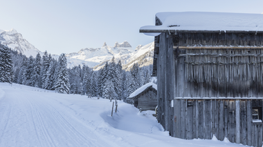 © Christina Wachter