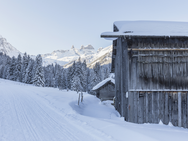 © Christina Wachter