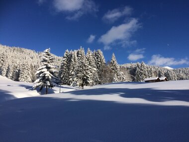 © Montafon