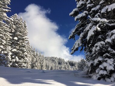 © Montafon