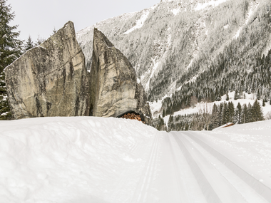 © Andreas Haller / Montafon