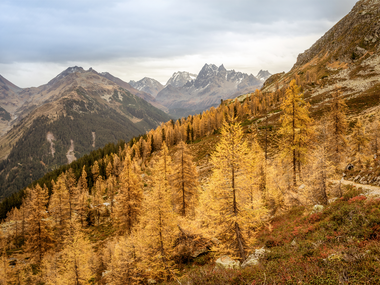 © Montafon Tourismus GmbH, Andreas Haller