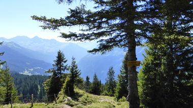 © Christina Wachter