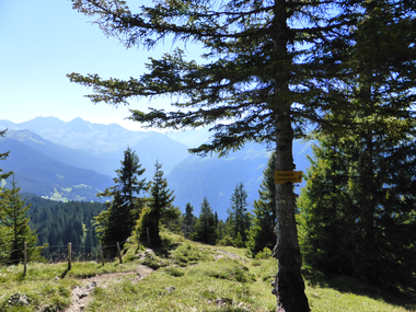 © Christina Wachter