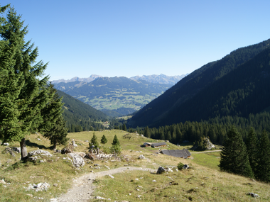 © Christina Wachter