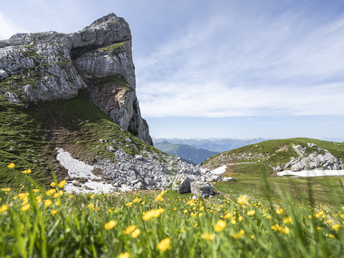 © Lucas Tiefenthaler / Vorarlberg Tourismus