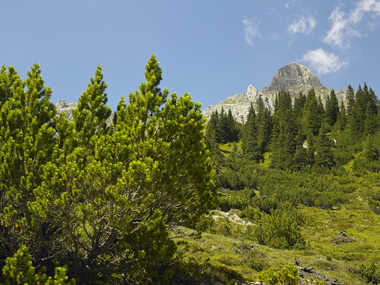 © Alex Kaiser / Montafon