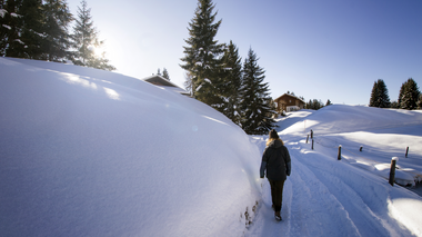 © Andreas Haller / Montafon