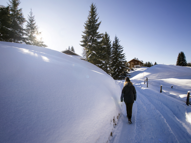 © Andreas Haller / Montafon