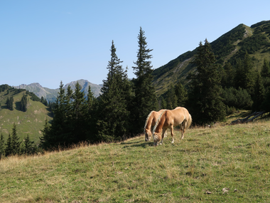 © Niclas Bösch / Montafon