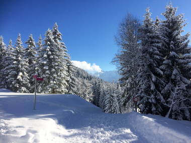 © Christina Wachter / Montafon