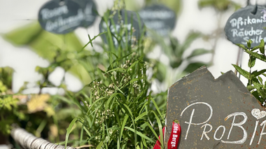 © Sophie Haarer / Montafon