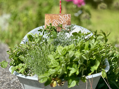 © Sophie Haarer / Montafon