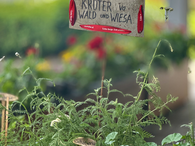 © Sophie Haarer / Montafon