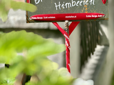 © Sophie Haarer / Montafon