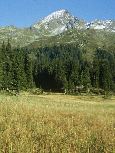 © Christina Wachter / Kristbergbahn