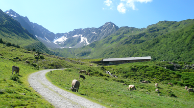 © Montafon Tourismus GmbH_Christina Wachter