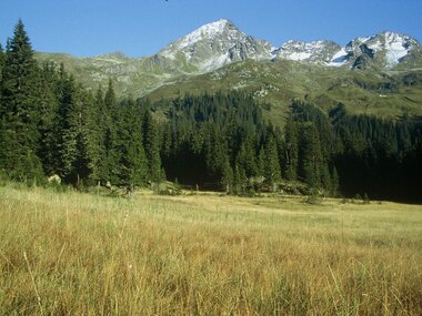© Montafon