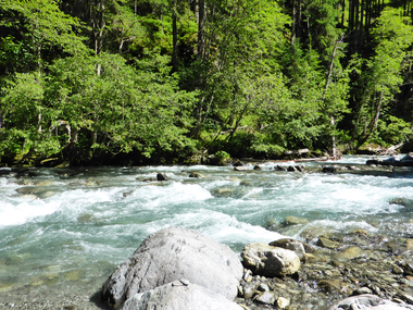 © Christina Wachter