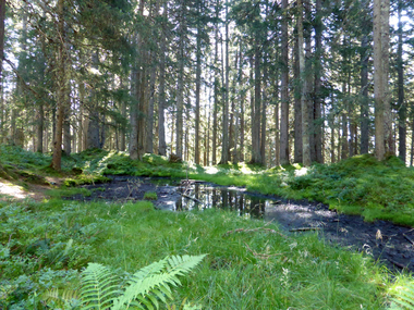 © Christina Wachter