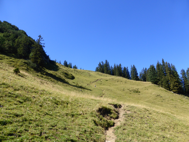 © Christina Wachter