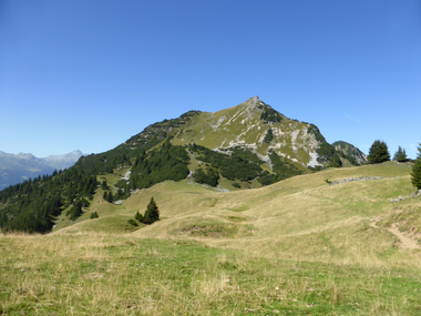 © Christina Wachter