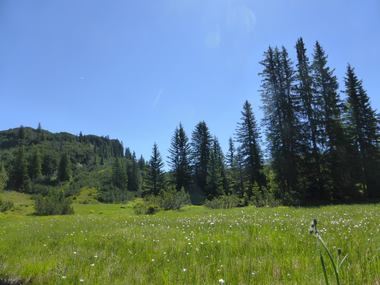 © Montafon Tourismus - Christina Wachter