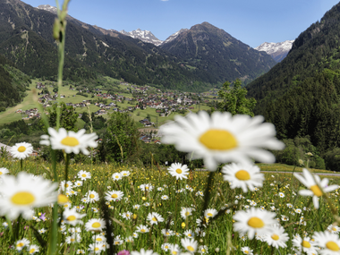 © Andreas Haller / Montafon